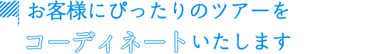 お客様にぴったりのツアーをコーディネートいたします